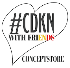 Logo CDKN driekleur