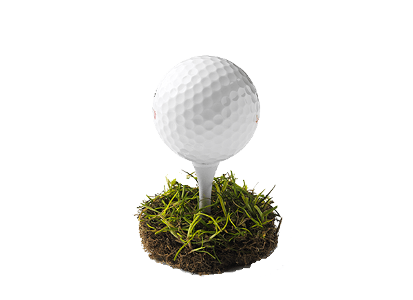 Golf ball in patch of grass