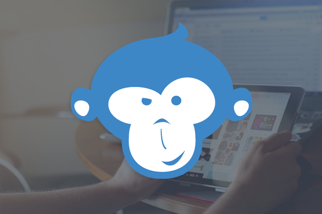 E-Commerce & Webshops