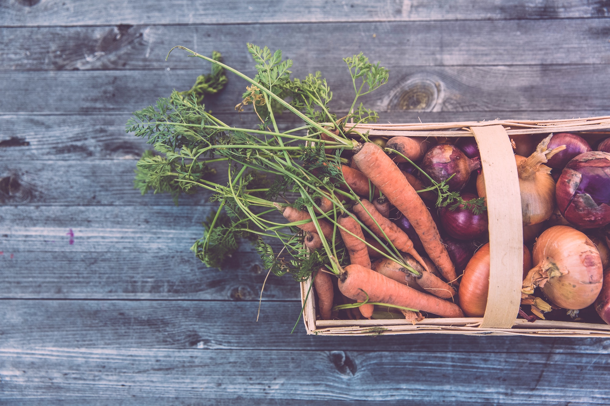 Go Green: 3 tips om je restaurant duurzamer te maken